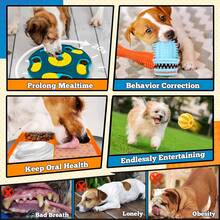 9 Piece Interactive Dog Puzzle Toy Set For Cognitive Training Enrichment - Blue Orange Set 2 - View 5