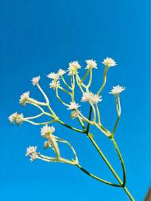 1件现代简约创意树脂花瓶装饰，适用于客厅玄关电视柜、办公桌家居装饰花盆，奢华高端艺术花盆，侘寂风格咖啡桌电视柜装饰 - 彩色 - 查看 12