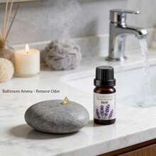 3瓶装香薰精油套装 - 无焰香薰机，果香精油，适用于香薰机和蜡烛制作，草莓椰子香型，具有放松和提神功效，每瓶10毫升 - 彩色 - 查看 5