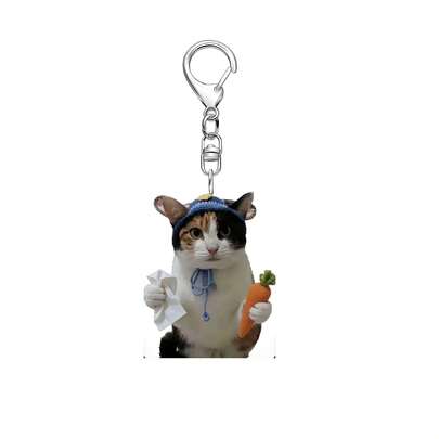1pc 2026 Bestseller Cute Carrot Awesome Cat Keychain Acrylic DIY Pendant, Perfect Gift, Holiday Gift, Birthday Gift, Interesting Gift