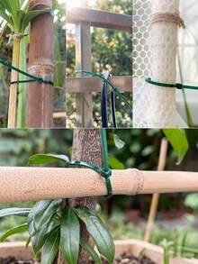 200 chiếc dây buộc tự khóa màu xanh lá cây, dây buộc nhựa, dây buộc cây trồng tự khóa dùng để cố định dây leo, dây buộc chịu nhiệt có thể tái sử dụng, dây buộc vườn | Dây buộc trang trí vườn, dây buộc cố định cây, thích hợp cho đồ dùng tiệc tùng, phông nền đám cưới, bó hoa, trang trí cổng vòm, chịu nhiệt, dùng trong nhà, ngày lễ tình nhân, lễ tốt nghiệp và các dịp khác. - màu xanh lá - Xem 6