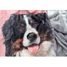 Customized Pet Photo Blanket, Personalized Dog Portrait Blanket, Pet Memorial Gift, Cat Photo Blanket ,Household Essentials, Birthday Gift - Multicolor - View 5