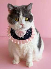 2026春季宠物围兜，洛丽塔风格，猫咪围巾，小狗围兜，可爱心形蕾丝围巾，布偶猫和泰迪熊 - 彩色 - 查看 1