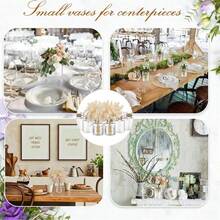 1/3/6pcs Plastic Vases, Bulk, Suitable For Centerpiece Decoration, Hyacinth Avocado Growth Vases, Small Bulb Flower Plant Containers, Suitable For Wedding Party Dining Table Decor (Straight Cylinder) - Transparent - View 7