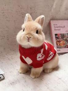 1pc Heart-Shaped Warm Rabbit Pet Sweater, Cute Heart Design, Rabbit Pet Accessories, Rabbit Pet Supplies - Multicolor - View 2