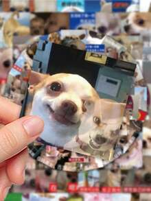 62张吉娃娃表情包贴纸，趣味狗狗贴纸包，DIY装饰贴纸，可用于手机壳、日记本、笔记本电脑和水杯。 - 彩色 - 查看 2