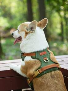 1件装反光耐用宠物胸背带，可调节织带完美贴合，柔软透气网眼衬里，舒适提手方便提起。 - 墨綠色 - 查看 4