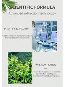 6 件香薰精油套装，植物香味，包括扩散器、蜡烛、香薰石、加湿器、汽车扩散器和家用补充油