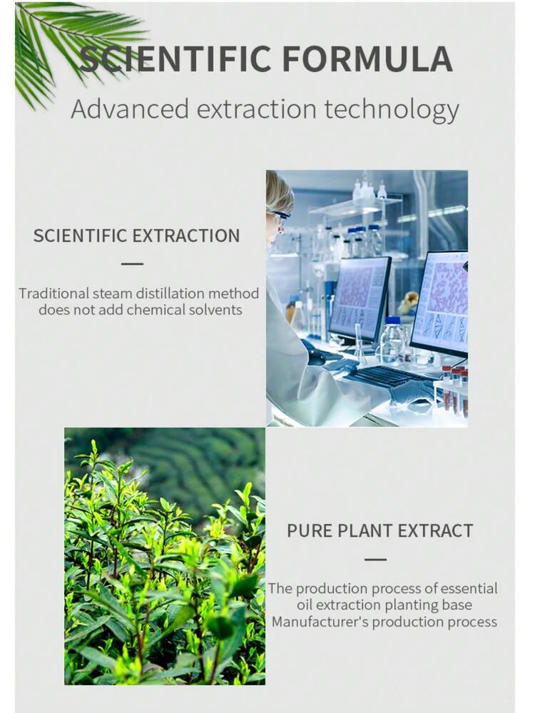 Set de 6 piezas de aceites esenciales aromáticos, con aroma a plantas, que incluye difusor, vela, piedra aromática, humidificador, difusor de coche y recambio de aceite para uso doméstico - Sándalo - Añade 5