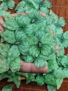 10pcs/Set Elegant Mesh Colorful Butterfly Appliques Decorations - Handmade 3D Layered Chiffon Butterfly Patches, Lightweight And Delicate, Suitable For Hair Clips, DIY Crafts, Clothing Embellishments, Headpieces, Wedding, Party, Home Decor, Photography Props, Holidays And Celebrations - Multicolor - View 1