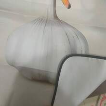 1 st kreativt vitlök, svanformat och bananpåfågelförkläde, roligt djur-, grönsaks- och köksförkläde, matlagningsförkläde, hembakning, kreativ presentförkläde - Multifärgad - Visa 4