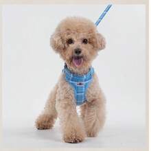 3pcs Set: Collar + Adjustable Vest-Style Harness + Leash, Suitable For Most Medium & Small Dogs & Cats, Indoor Play & Outdoor Walking, Leash Connector, Pet Walking Gear, Fashionable Pet Supplies, Comfortable Pet Apparel, Lightweight Pet Vest, Dog Walking Leash, Adjustable Pet Harness, For Dog Lovers - Multicolor - View 8