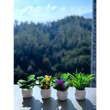 1 Random Artificial Mini Potted Plant Statue, Mini Potted Plant Bonsai, Mini Garden Outdoor Decoration With Fake Flower Pots To Simulate Plants Valentine's Day, Valentine's Day Wedding, Birthday(Random Style) - 綠色 - 查看 4