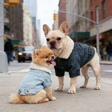 1pc Pet Cat Dog Fleece Jacket With Fur Collar, Autumn/Winter - Blue - View 1