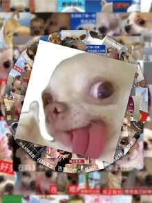 62张吉娃娃表情包贴纸，趣味狗狗贴纸包，DIY装饰贴纸，可用于手机壳、日记本、笔记本电脑和水杯。 - 彩色 - 查看 8