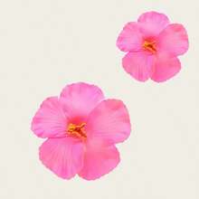 3pcs/1pc Women White, Pink, Yellow 7.5cm/2.95in Tie Dye Faux Flower Hair Clips, Fashion Versatile High-End Elegant Minimalist Solid Color Side Clips, Suitable For Daily Outing, Casual, Party, Commute, Vacation, Ponytail, Bun, Washing Face, Makeup, Outfit Accessory, Claw Clips, Hair Claws, Hair Slide, Hair Barrettes, Hair Accessories, Pink Accessories, Vacation Outfits Woman, Cute Accessories, Valentines Accessories - Multicolor - View 21