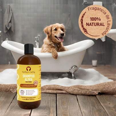 PETTING IS CARING - Shampoo para Perro Shampoo Natural Champú - Aloe Vera Fragancia de Lavanda 97% Ingredientes Origen Natural - Mascotas Perros Gato