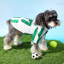 1件宠物狗/猫07#运动衫，黑色条纹字母印花休闲运动风舒适狗外套 - 黑色 - 查看 5