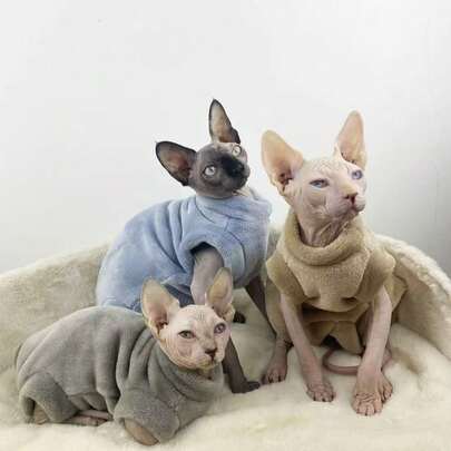 3-Color Soft Plush Sweater For Hairless Cats, Blue/Gray/Brown, Warm & Cute Outfit For Autumn/Winter, Protects Belly, Machine Washable