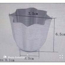 Disposable Cookware - 7.5 x 6.5 עפרות - ראה 7