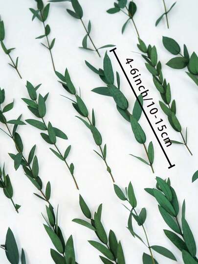 15/30/60pcs/Box Eucalyptus Leaves, Fresh Preserved Eucalyptus Leaves For Soap Making, DIY, Dried Flowers, Immortal Flowers, Home Decor, Floating Vase, Resin Crafting, Flower Shop Supplies, Valentine's Day & Christmas Decoration