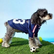 1件宠物狗/猫07#运动衫，黑色条纹字母印花休闲运动风舒适狗外套 - 黑色 - 查看 8