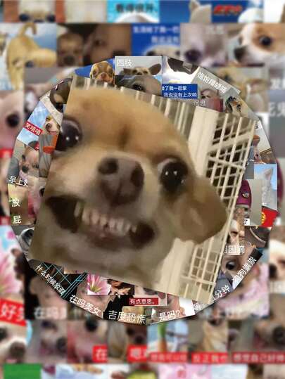 62Pcs Chihuahua Meme Stickers, A Funny Dog Sticker Pack, DIY Decorative Decals For Phone Cases, Diaries, Laptops, And Water Cups.