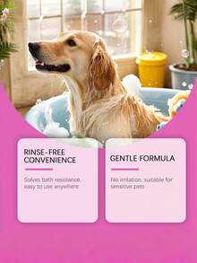 宠物干洗泡沫 - 无需冲洗，轻松清洁宠物毛发，令毛发柔软顺滑。宠物干洗喷雾 - 无需冲洗，方便日常清洁，去除污垢，蕴含薰衣草和椰子油成分，适用于猫狗。 - 300ml - 查看 7