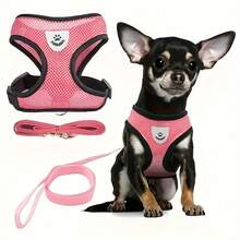 New Luminous Dog Harness And Leash Set, Available In Multiple Colors And Sizes, Suitable For Cats, Dogs And Various Pets - Multicolor - View 12