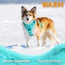 Breathable Dog Harness, Front & Back D-Rings, Padded Oxford Cloth Pet Vest, Anti-Choke & Escape-Proof - Mint Blue - View 4