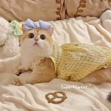Sugar&Sweet宠物猫狗连衣裙，黄色波点公主裙+蓝色格子蝴蝶结发箍，夏季透气小型犬猫派对服装，可爱蕾丝小猫日常及假日服装，田园风 - 黃色 - 查看 3