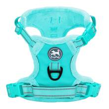 Breathable Dog Harness, Front & Back D-Rings, Padded Oxford Cloth Pet Vest, Anti-Choke & Escape-Proof - Mint Blue - View 9