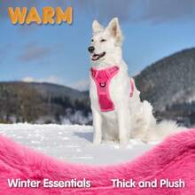 Breathable Dog Harness, Front & Back D-Rings, Choke-Free, Padded Oxford Cloth Pet Vest - Hot Pink - View 4
