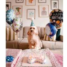 2pcs 24.8"X11" Dog Scarf, Suitable For Small, Medium, Large & Extra Large Dogs & Cats - Soft Pet Scarf, Unisex, Reusable Dog Bib, Scarf And Drool Cloth - Multicolor - View 3