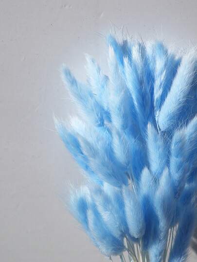 30/60/120/180/240pcs Natural Lagurus Ovatus Dried Flowers, 17" Dried Lagurus Ovatus, Orange Autumn Dried Flowers, Suitable For Autumn Floral Arrangements, Wedding Centerpieces, Home Decor, Baby Shower Decorations, Holiday Decorations, Seasonal Decor, Farmhouse Decor, Holiday Accents