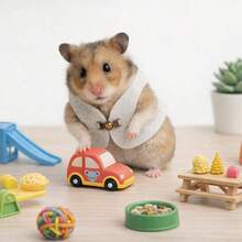 1pc Hamster Vest, Teddy Bear Outfit, Squirrel Outdoor Wear, Vest, Hamster Warm Clothing - Multicolor - View 4