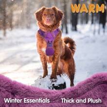 Breathable Dog Harness, Front & Back D-Rings, Choke-Free, Padded Oxford Cloth Pet Vest - Purple - View 4