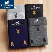 Mutande sportive per taglie forti da donna - Puro cotone stampato, confezione regalo da 4, S9460 - Visualizzare 1