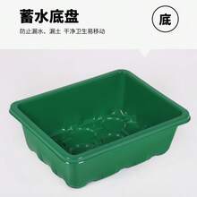 6-Cell Seedling Tray, Gardening Planter Pot With Lid And Moisture Retention Tray, Promotes Germination For Optimal Sprouting! - Green - View 5