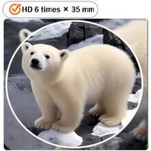 1 szt. lornetka kamuflażowa 6x35, lornetka outdoorowa dla dzieci, dekoracyjny rekwizyt - Wielokolorowe - Zobacz 8