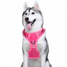 Breathable Dog Harness, Front & Back D-Rings, Choke-Free, Padded Oxford Cloth Pet Vest - Hot Pink - View 3