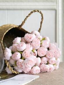 Baby Pink