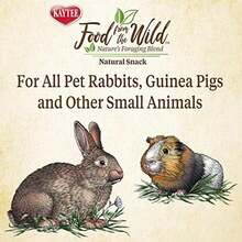 Kaytee Food From The Wild Natural Snack For Pet Rabbits, Guinea Pigs And Other Small Animals, 1 Ounce - 1 Ounce (Pack Of 1) - View 5