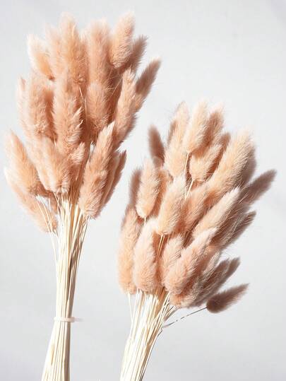 30/60/120/180/240pcs Natural Lagurus Ovatus Dried Flowers, 17" Dried Lagurus Ovatus, Orange Autumn Dried Flowers, Suitable For Autumn Floral Arrangements, Wedding Centerpieces, Home Decor, Baby Shower Decorations, Holiday Decorations, Seasonal Decor, Farmhouse Decor, Holiday Accents