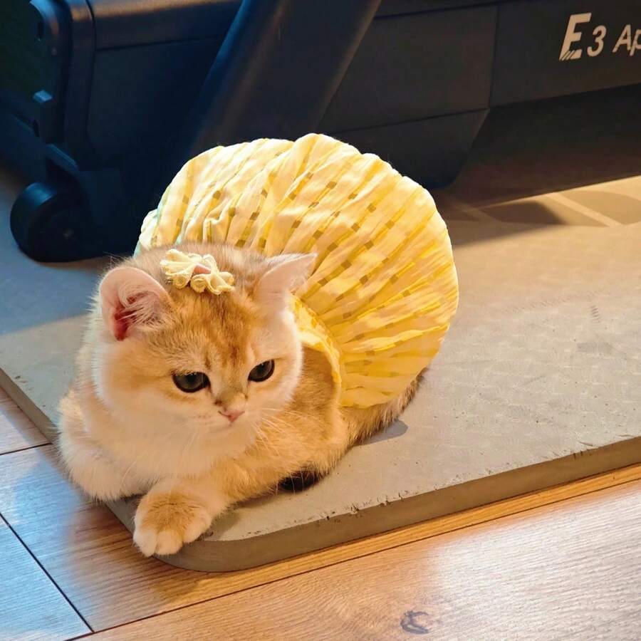 Sugar&Sweet宠物猫狗连衣裙，黄色波点公主裙+蓝色格子蝴蝶结发箍，夏季透气小型犬猫派对服装，可爱蕾丝小猫日常及假日服装，田园风 - 黃色 - 查看 1