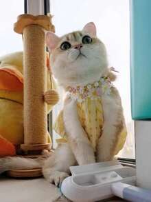 Sugar&Sweet宠物猫狗连衣裙，黄色波点公主裙+蓝色格子蝴蝶结发箍，夏季透气小型犬猫派对服装，可爱蕾丝小猫日常及假日服装，田园风 - 黃色 - 查看 6