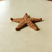 2 piezas Estante de secado con forma de estrella de mar creativa, alfombrilla de secado personalizada única adecuada para varios vasos, llena de la vibra del océano vacacional, diseño 3D hueco y texturizado que drena rápidamente el agua residual en el fondo del vaso, mantiene el mostrador seco y limpio - Gris + Marrón - Ver 4