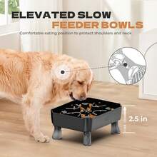 Slow Feeder Dog Bowl With Maze Puzzle Anti Choking Interactive Feeder For Small Medium Dogs Black - Đen - Xem 4
