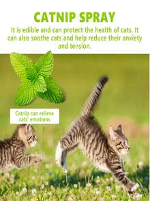 Cat Mint Spray Helps Relieve The Anxiety Of Cats, Enhance Their Vitality And Health. Cat Mint Spray, Long-Lasting Fragrance, Chewable Rope, Anti-Climbing Function, Can Boost The Vitality Of Pets. Interesting Mint Spray, Cat Mint Spray, Transparent Spray, Targeted At The Behavior Of Cats And Kittens. Cat Mint Spray, Long-Lasting Fragrance, Anti-Scratching Rope - Multicolor - View 9