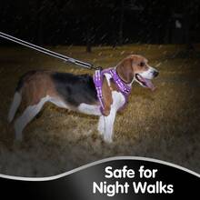 Breathable Dog Harness, Front & Back D-Rings, Choke-Free, Padded Oxford Cloth Pet Vest - Purple - View 8